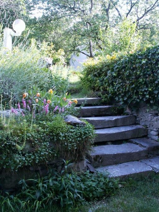 Magnifique Maison De Maitre Du 18E Avec Jardin Luz-Saint-Sauveur Εξωτερικό φωτογραφία