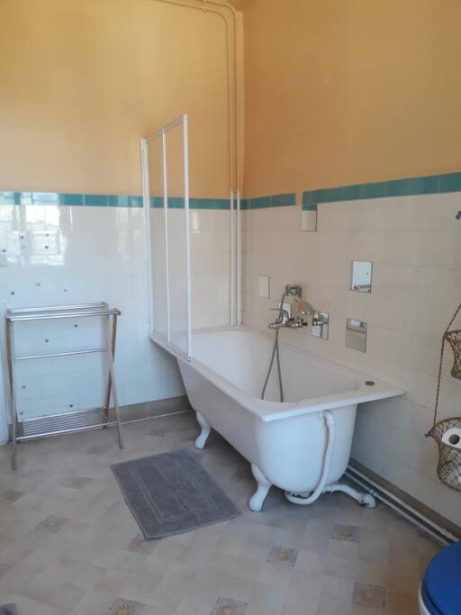 Magnifique Maison De Maitre Du 18E Avec Jardin Luz-Saint-Sauveur Εξωτερικό φωτογραφία